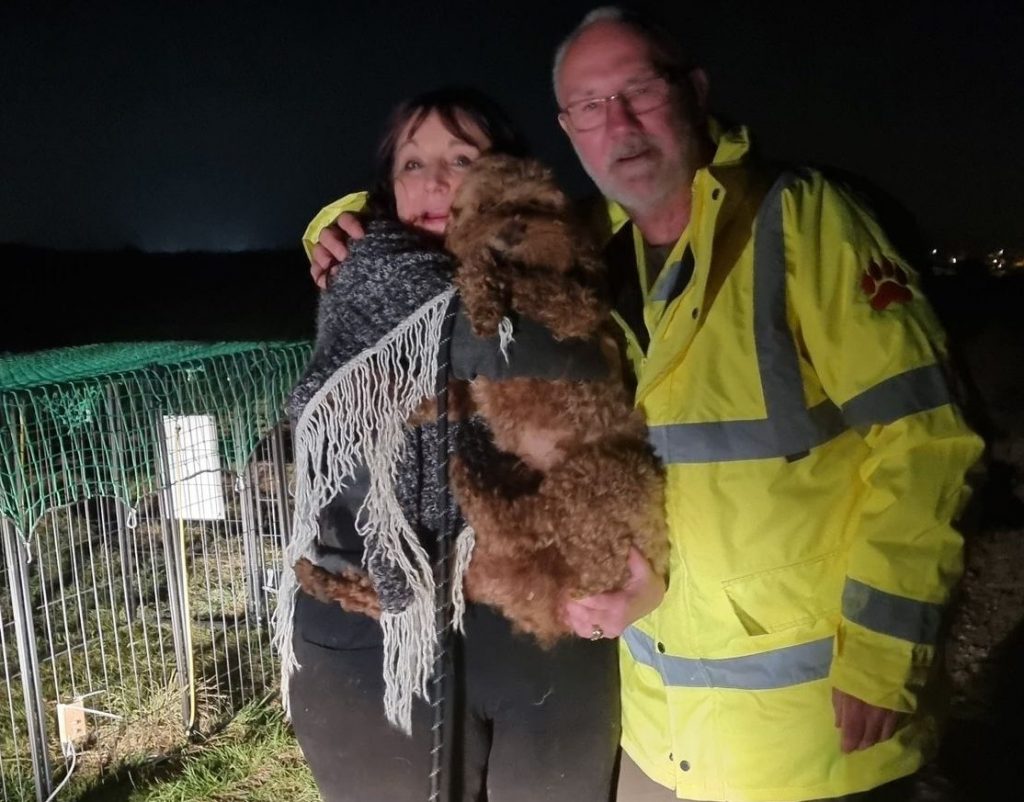 Red the poodle cross is reunited with owners thanks to help from search teams