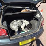 Ixworth – two charged with drug offences