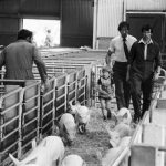New Exhibition Celebrates 150 years of Lacy Scott and Knight