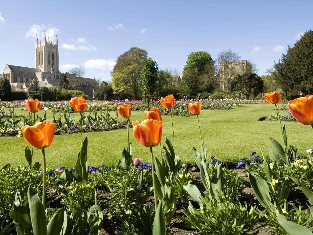 New area set to open for Abbey Gardens visitors