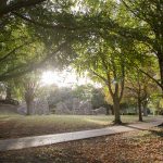 Six West Suffolk parks and open spaces win prestigious national Green Flag awards