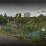 Allotments damaged over night in Bury St Edmunds