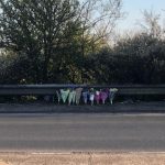 Man who died in cycle collision in Bury St Edmunds is named