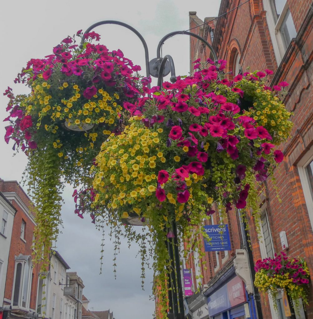 Bury in Bloom in to the finals of the Britain in Bloom competition
