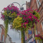 Bury in Bloom in to the finals of the Britain in Bloom competition
