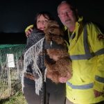 Red the poodle cross is reunited with owners thanks to help from search teams