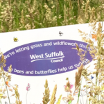 Council to take action to grow team to improve grass cutting