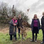 Community volunteers plant special oak in honour of the King