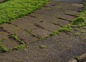 Council to review weed control for roads and pavements