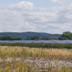West Suffolk Council ‘disappointed’ after Sunnica was given the go ahead