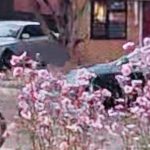 Police appeal after racially motivated assault in Bury St Edmunds