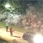 Police appeal after peahen shot with air rifle in Gazeley