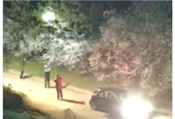 Police appeal after peahen shot with air rifle in Gazeley