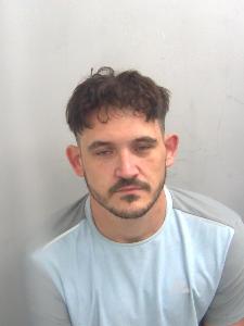 Essex burglar jailed following Walsham-le-Willows break-in where dog and puppies were stolen