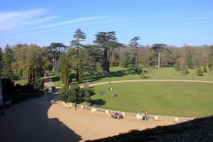 Man arrested after reports of undressed male in Bury St Edmunds woodland